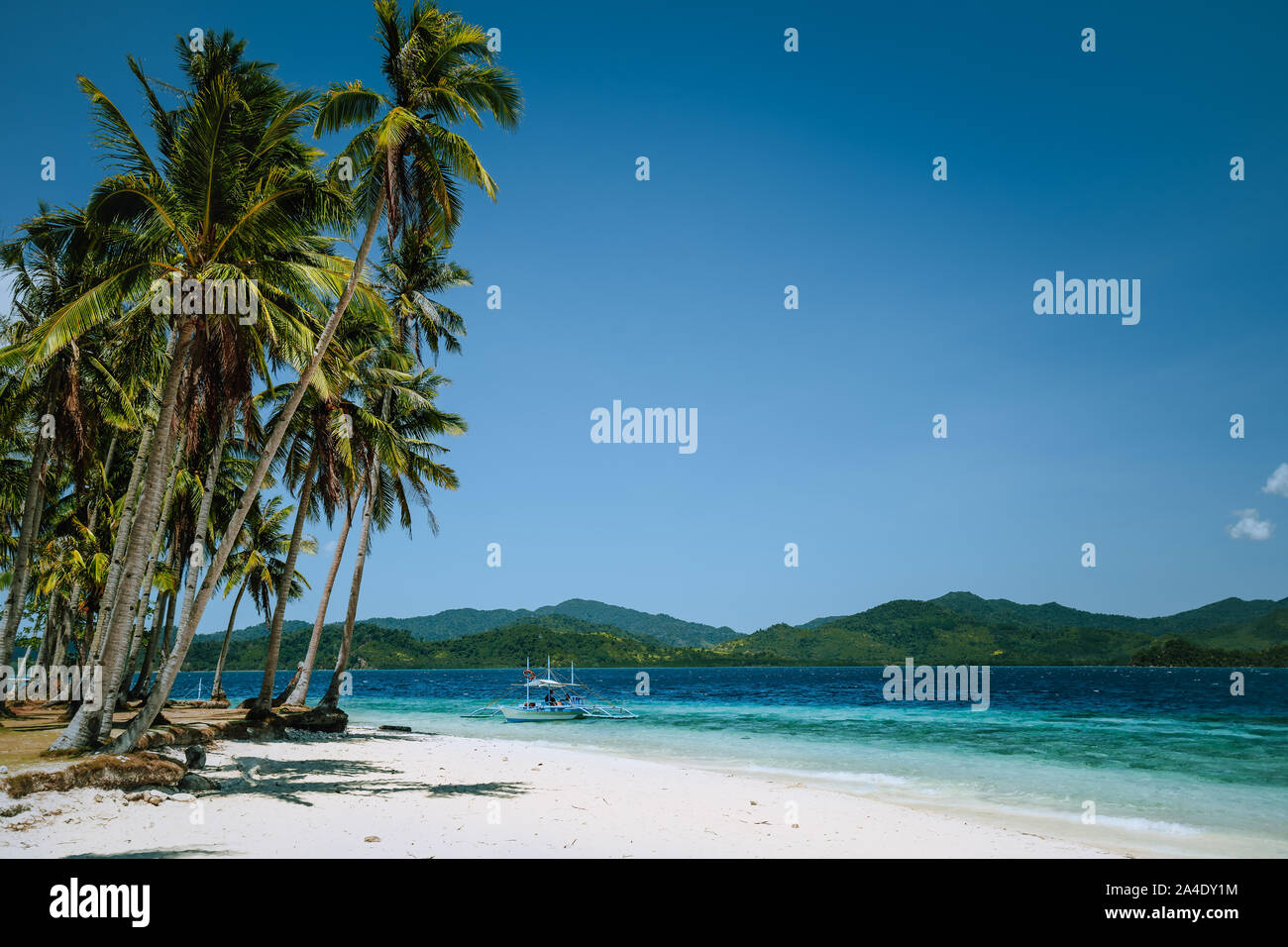 El Nido, PALAWAN FILIPPINE. Palme di cocco sulla spiaggia sabbiosa e solitaria filippino banca barca in oceano turchese dell'acqua. Island hopping tour con essere Foto Stock