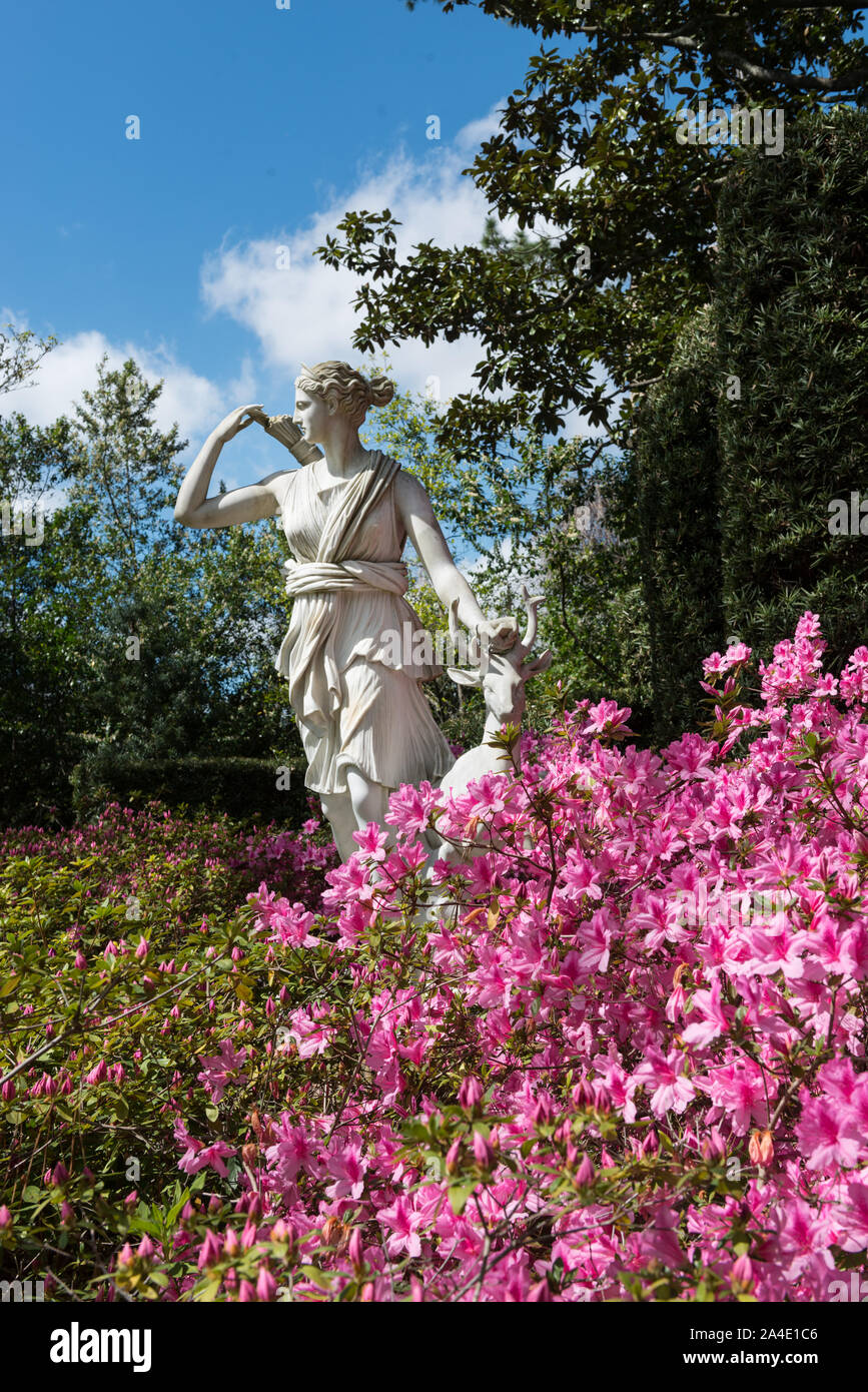 Statua di Diana, dea romana della caccia e animali selvatici in un piacevole giardino presso il Bayou Bend Raccolta e giardini nel fiume Oaks quartiere di Houston, Texas Foto Stock