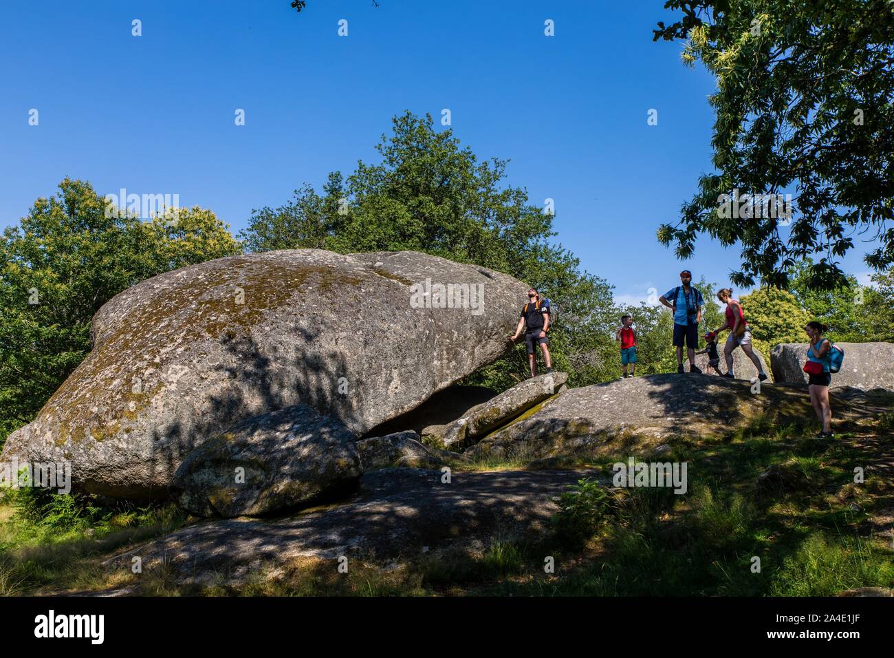 Pietre di colore giallastro, sito naturale, cumuli di incredibile dei blocchi di granito, sito elencato, uno di George Sand's luoghi preferiti per camminare in compagnia di Chopin, (23) Creuse, Nuova Aquitaine, Francia Foto Stock