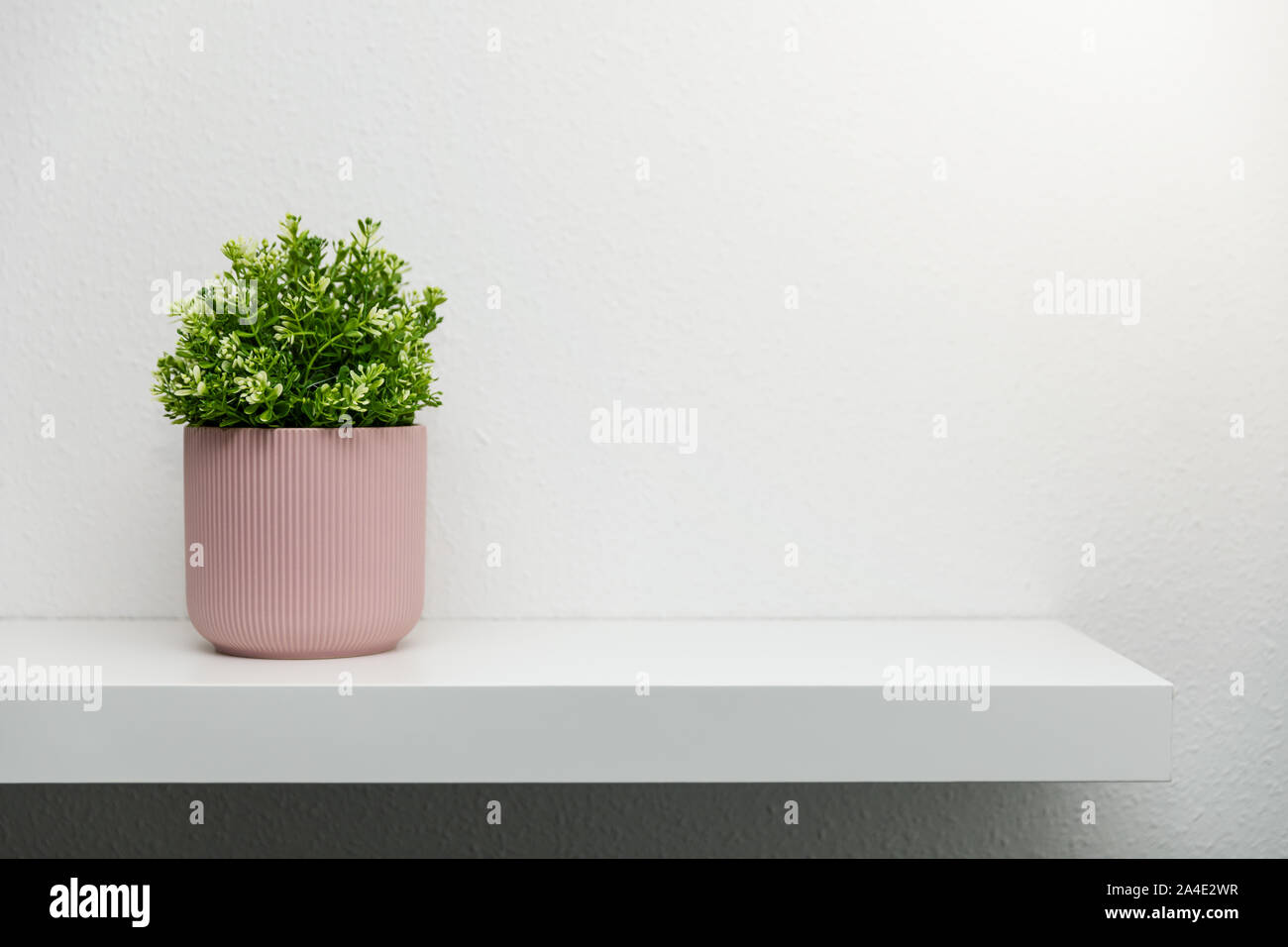 Ripiano sul muro bianco con piante verdi in vaso rosa. spazio copia Foto Stock