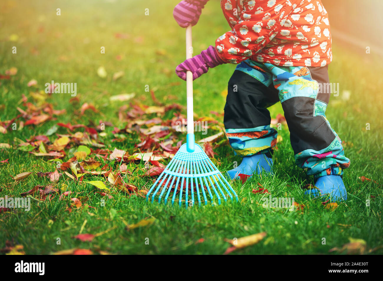 Caduta stagione - il bambino a rastrellare foglie di autunno da prato a casa cortile Foto Stock