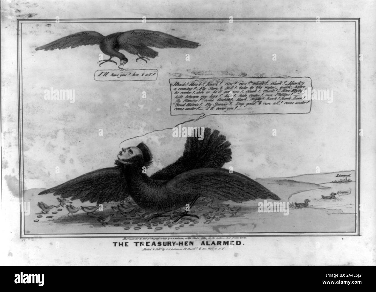 Il tesoro-hen allarmato Foto Stock