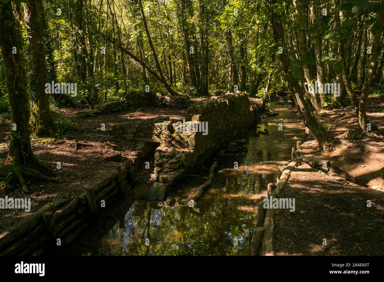 I resti di un antico edificio accanto a un piccolo fiume nel paese Tehidy Park, la più grande area boschiva in West Cornwall. Foto Stock