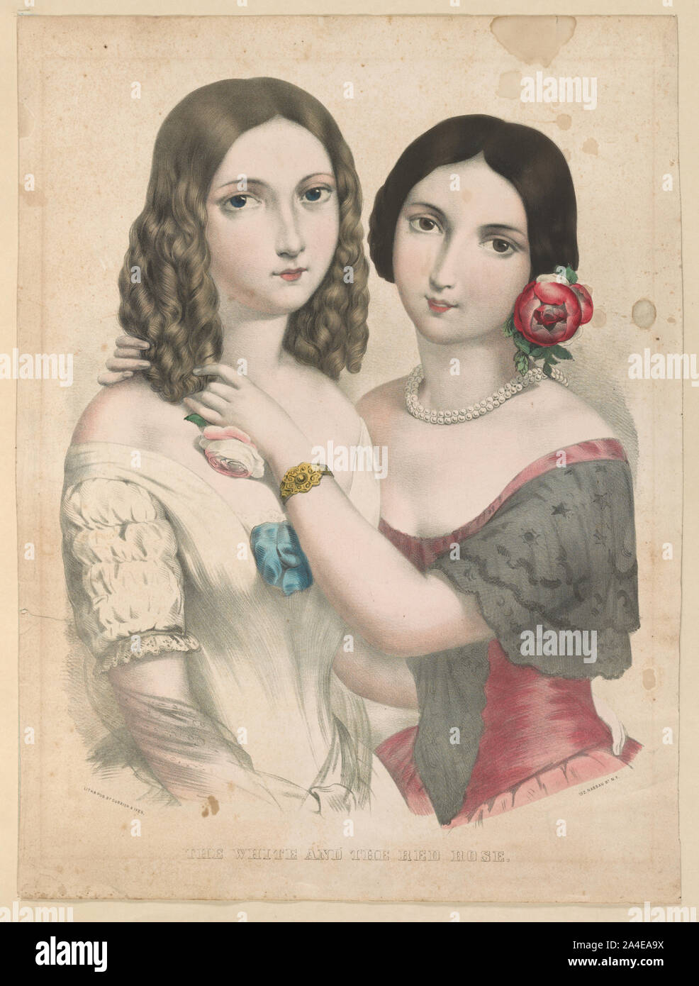 Il bianco e il rosa rossa / lith. & Pub. Da Currier & Ives. Foto Stock