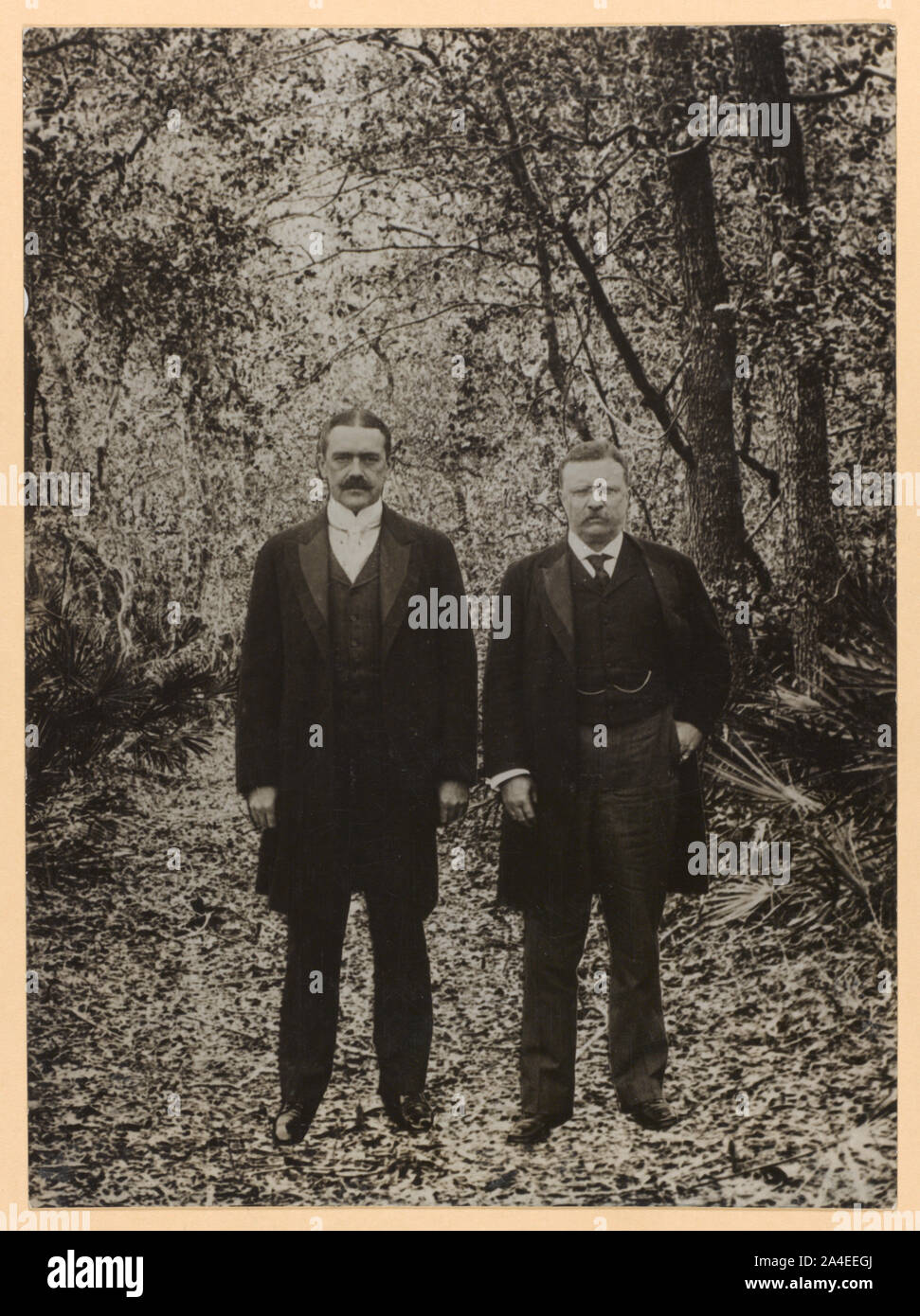 Theodore Roosevelt e un uomo in piedi in una zona boscosa a piena lunghezza, ritratto di gruppo Foto Stock