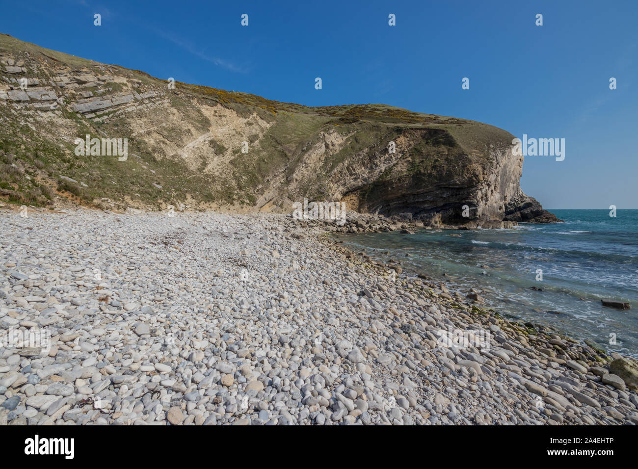 Pondfield Cove accanto alla baia di Worborrow vicino Tyneham, Dorset, Regno Unito Foto Stock