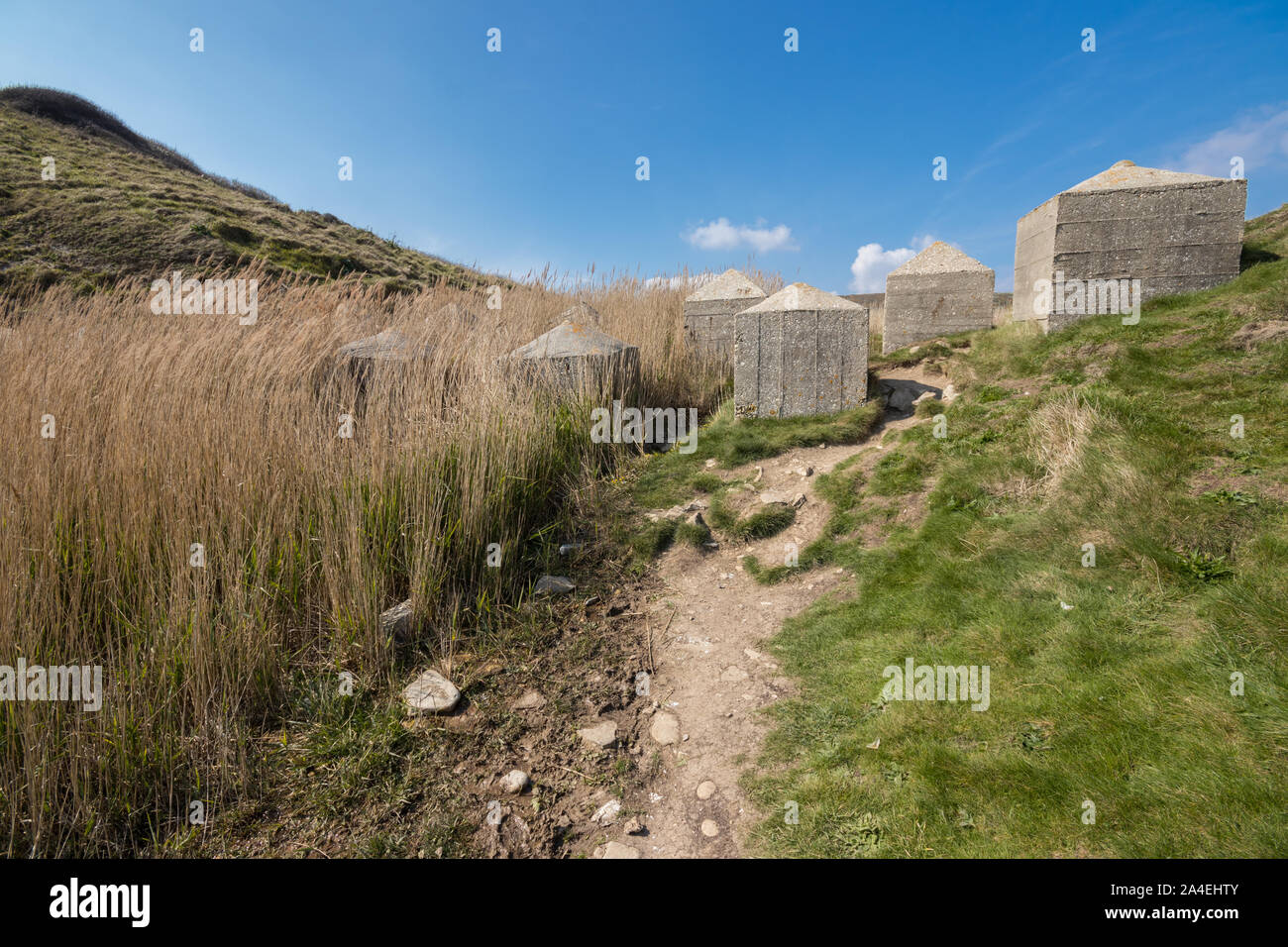 Le difese di guerra a Pondfield Cove accanto alla baia di Worborrow vicino Tyneham, Dorset, Regno Unito Foto Stock