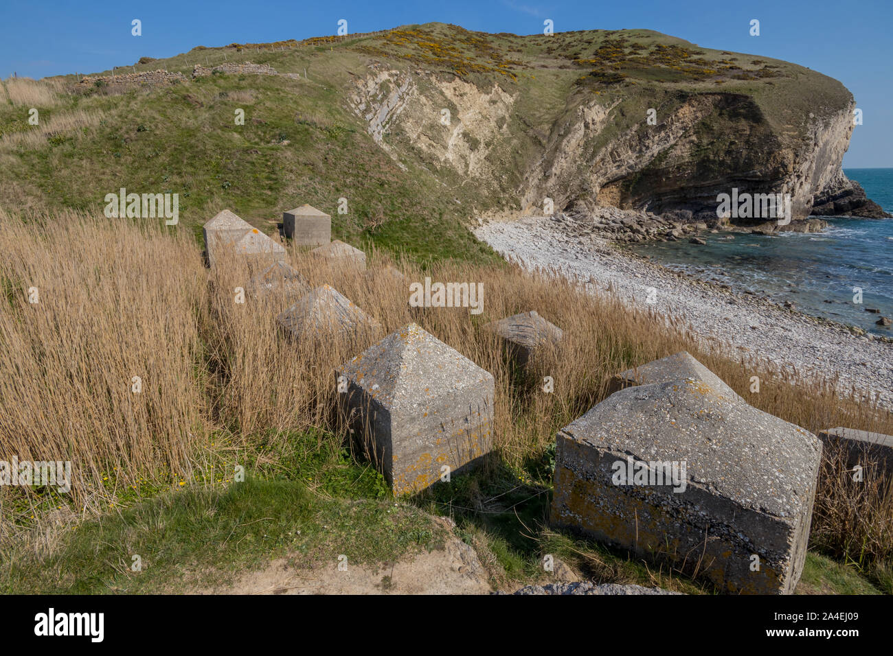 Le difese di guerra a Pondfield Cove accanto alla baia di Worborrow vicino Tyneham, Dorset, Regno Unito Foto Stock