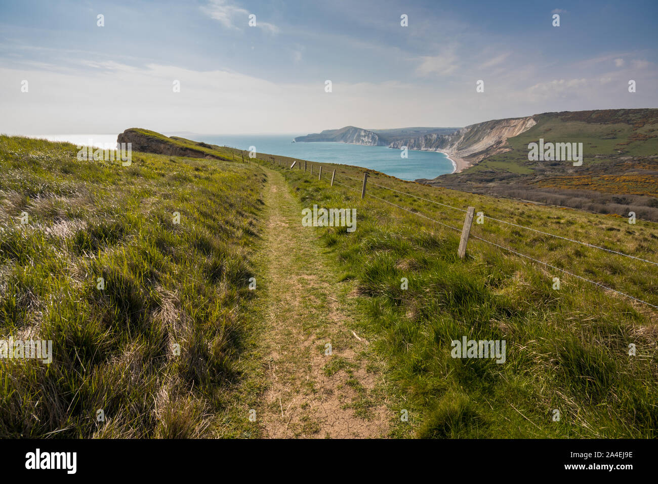 Vista del paesaggio guardando verso Worbarrow Tout e Worborrow Bay nei pressi di Tyneham, Dorset, Regno Unito Foto Stock