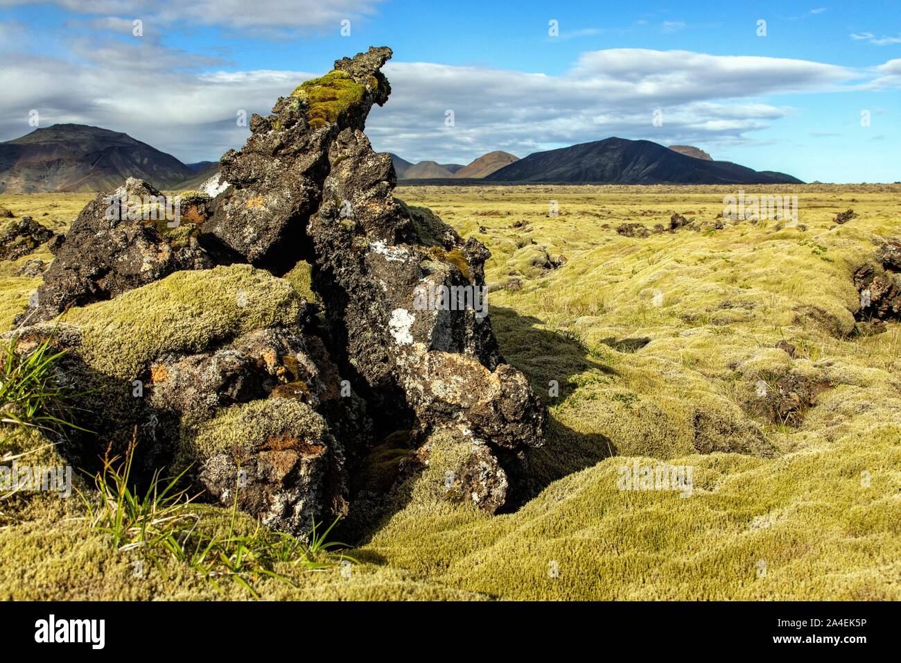 La roccia vulcanica e torbiera coperte di muschio, tipico paesaggio islandese, Hengill, Islanda Foto Stock