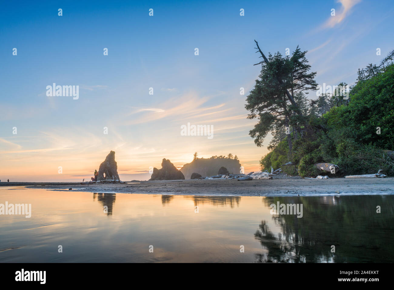 Il Parco nazionale di Olympic, Washington, Stati Uniti d'America al Ruby spiaggia al tramonto. Foto Stock