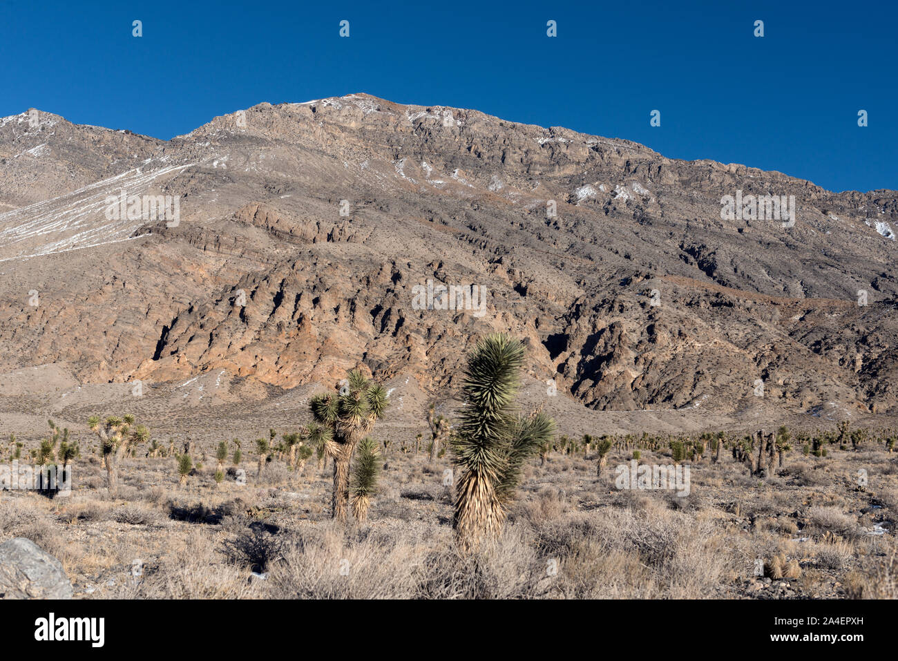 Questo non è ovviamente lo stereotipo del sole-arida giornata estiva nella Valle della Morte Foto Stock