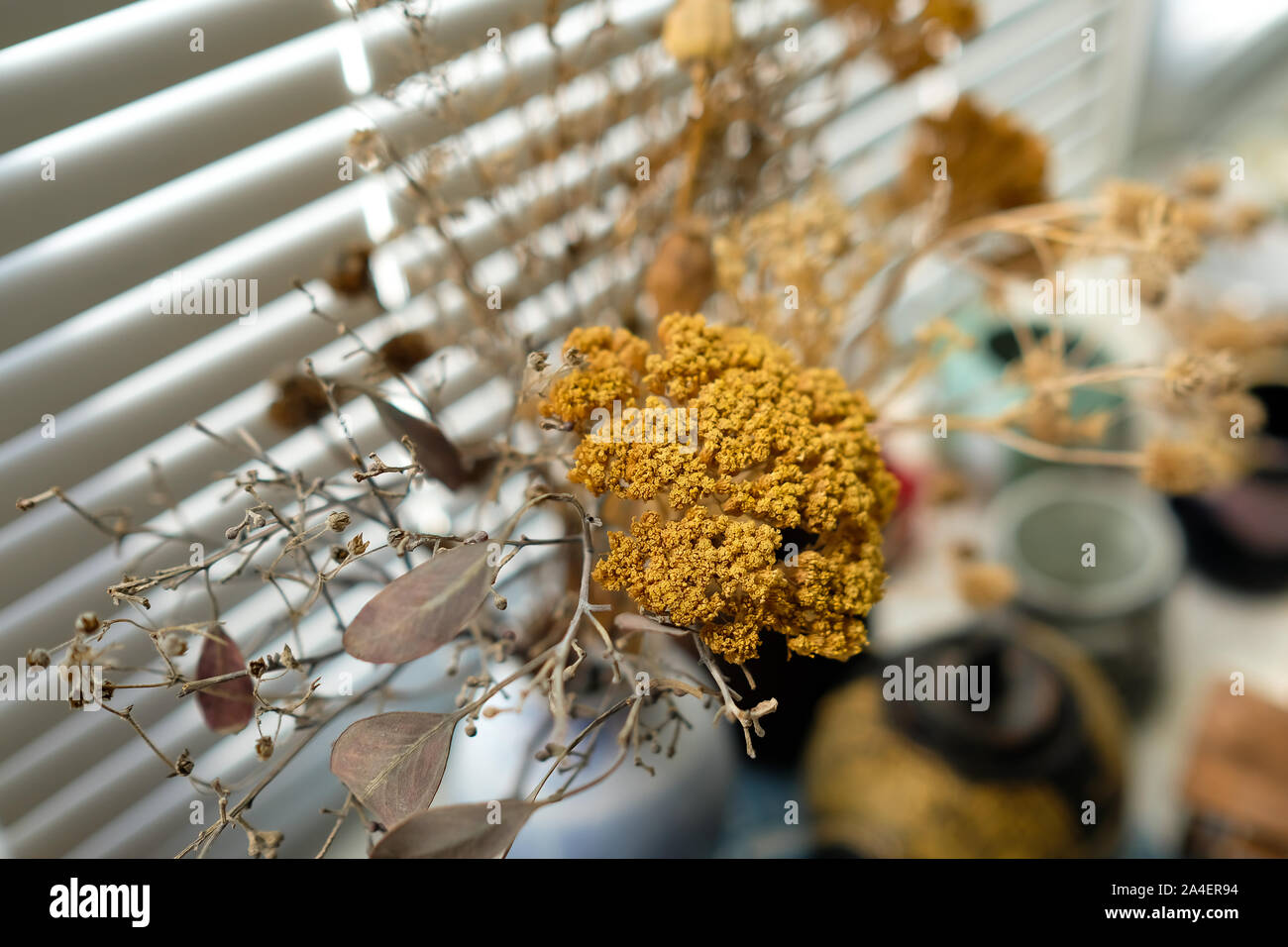 Fiori secchi in un vaso sul davanzale. Foglie differenti ed erba. Foto Stock