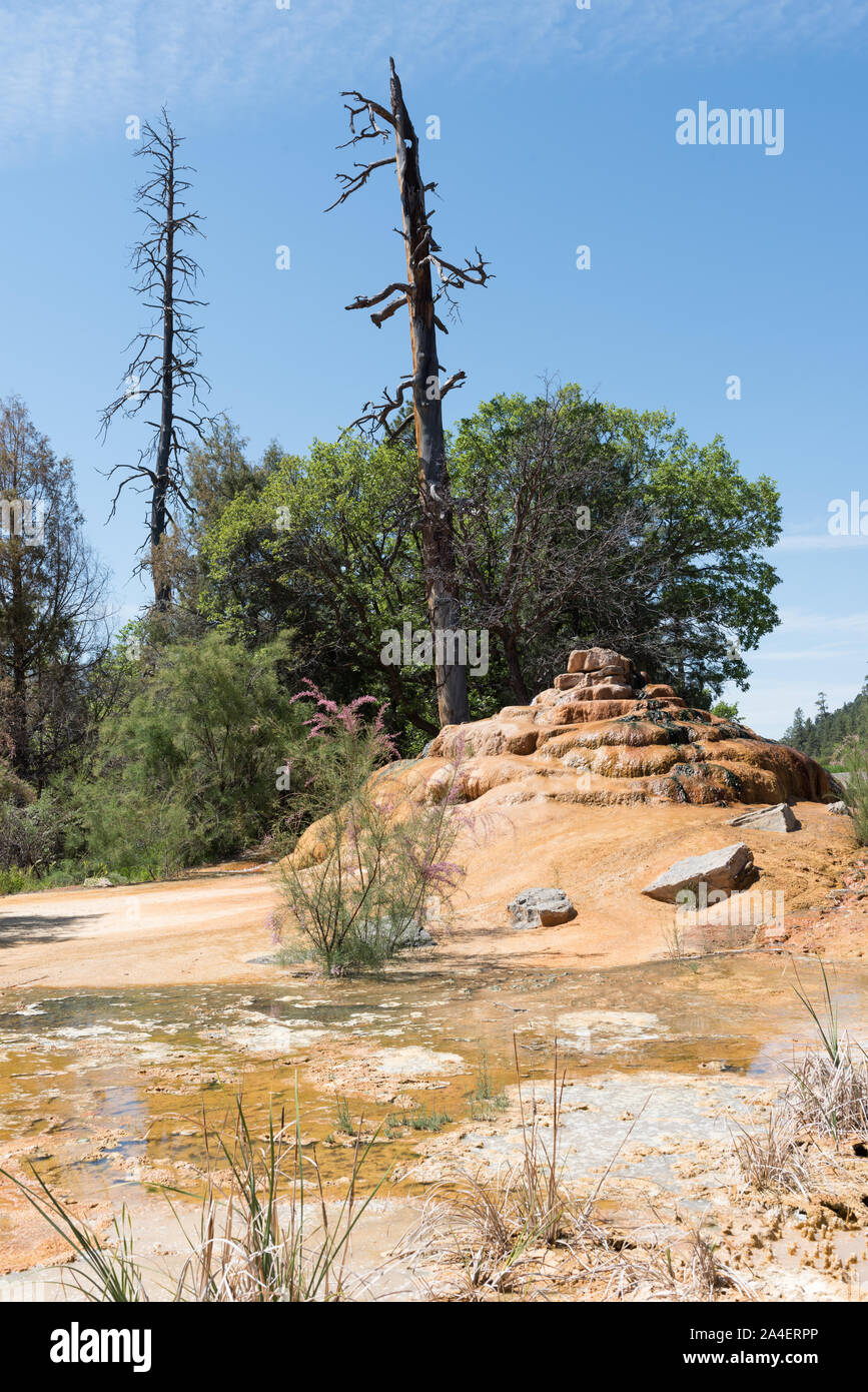 Questo trafili pila di rocce, lungo l'autostrada principale al di sopra di Durango in Colorado, ha un nome. È il Pinkerton Hot Springs, le cui acque erano scoperto per la prima volta nei primi anni settanta, e dal produttore di latte James Harvey Pinkerton Foto Stock