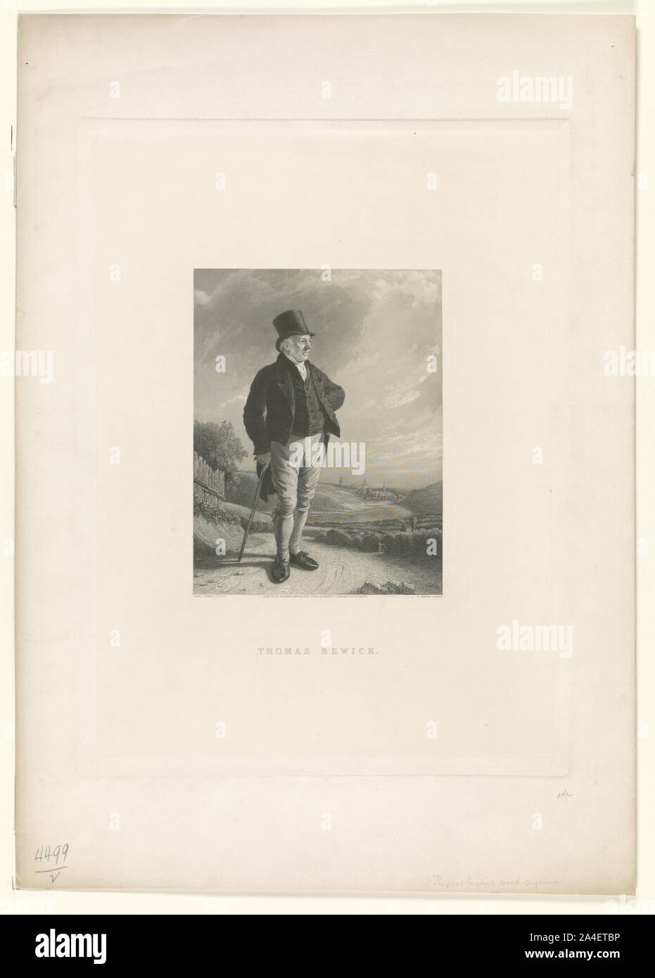 Thomas Bewick Foto Stock