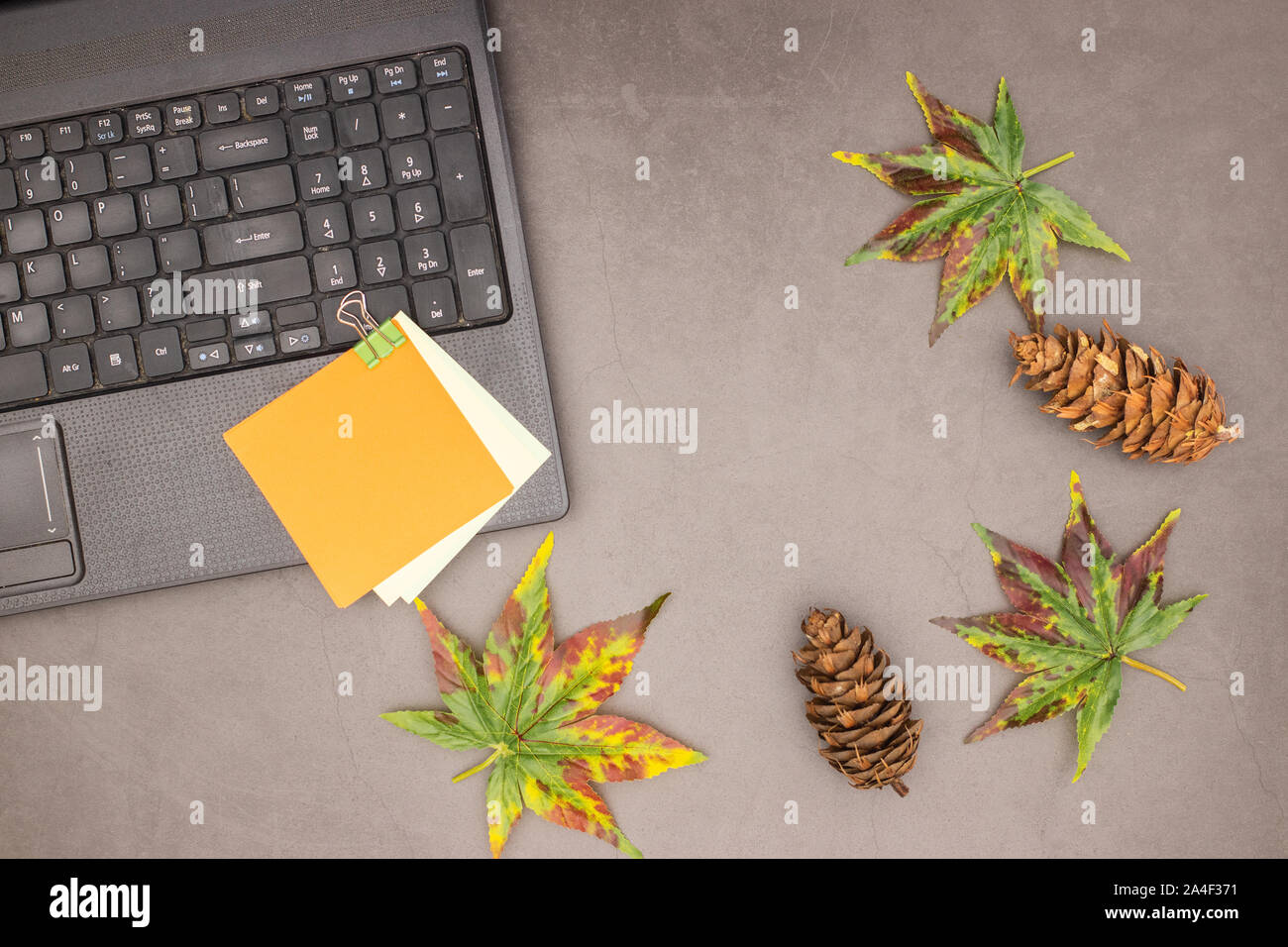 Tabella di business con decorazione di autunno Foto Stock