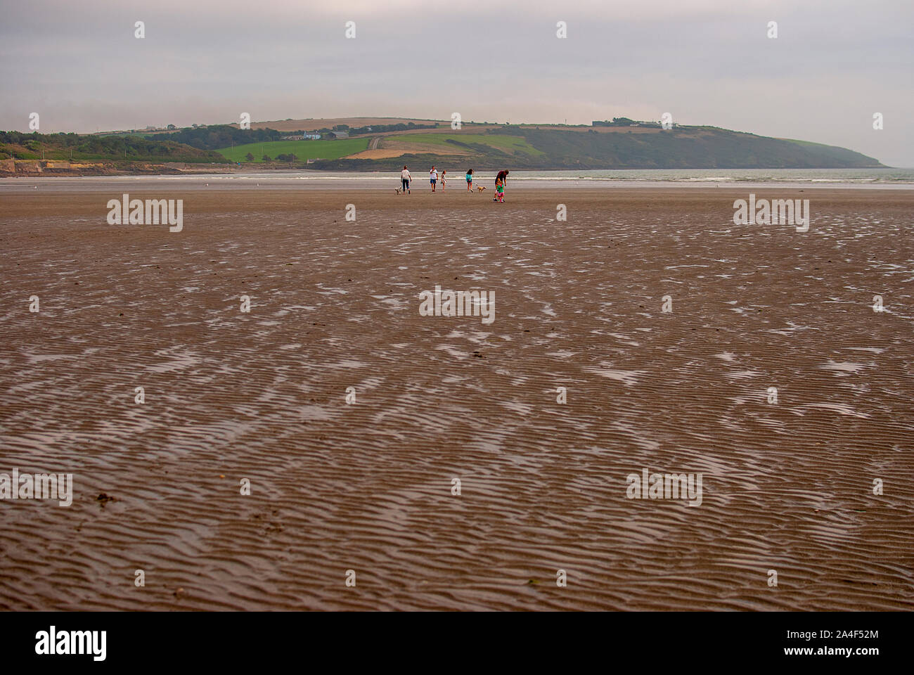 La gente camminare sulla spiaggia di sabbia lasciando tracce nella sabbia. Famiglia con bambini e un cane giocando sulla spiaggia Killbrittain, Irlanda. Giorno nuvoloso. Foto Stock