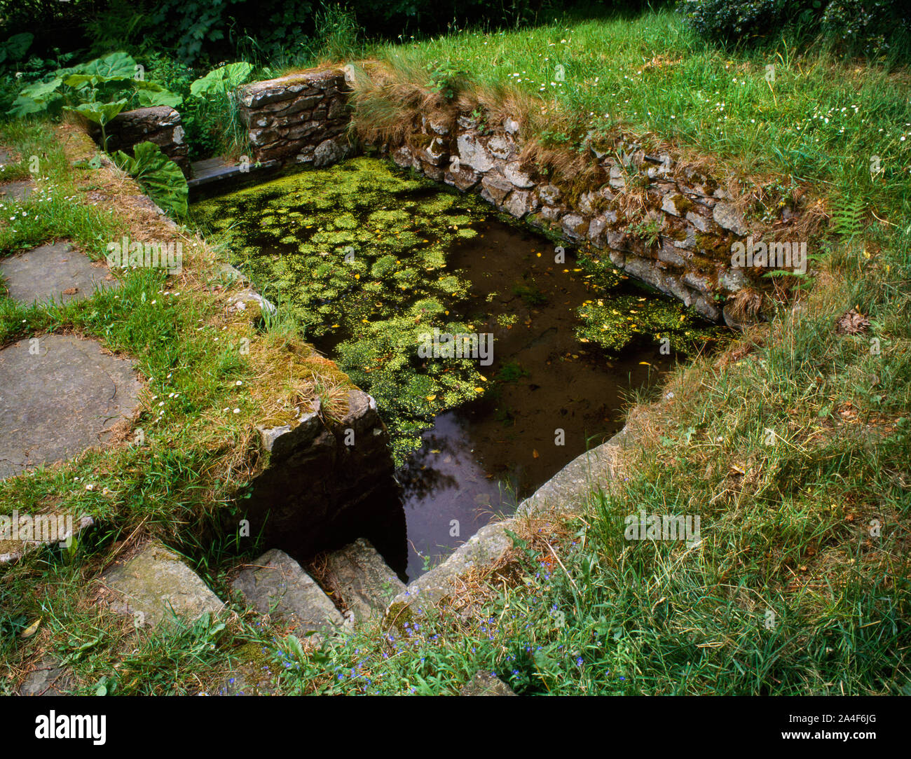 Visualizzare NW presso la piscina ad immersione di Sara Ffynnon Ffynnon (Sarah) ben guarigione vicino Derwen, Denbighshire, Wales, Regno Unito, creduto per curare i tumori e i reumatismi Foto Stock