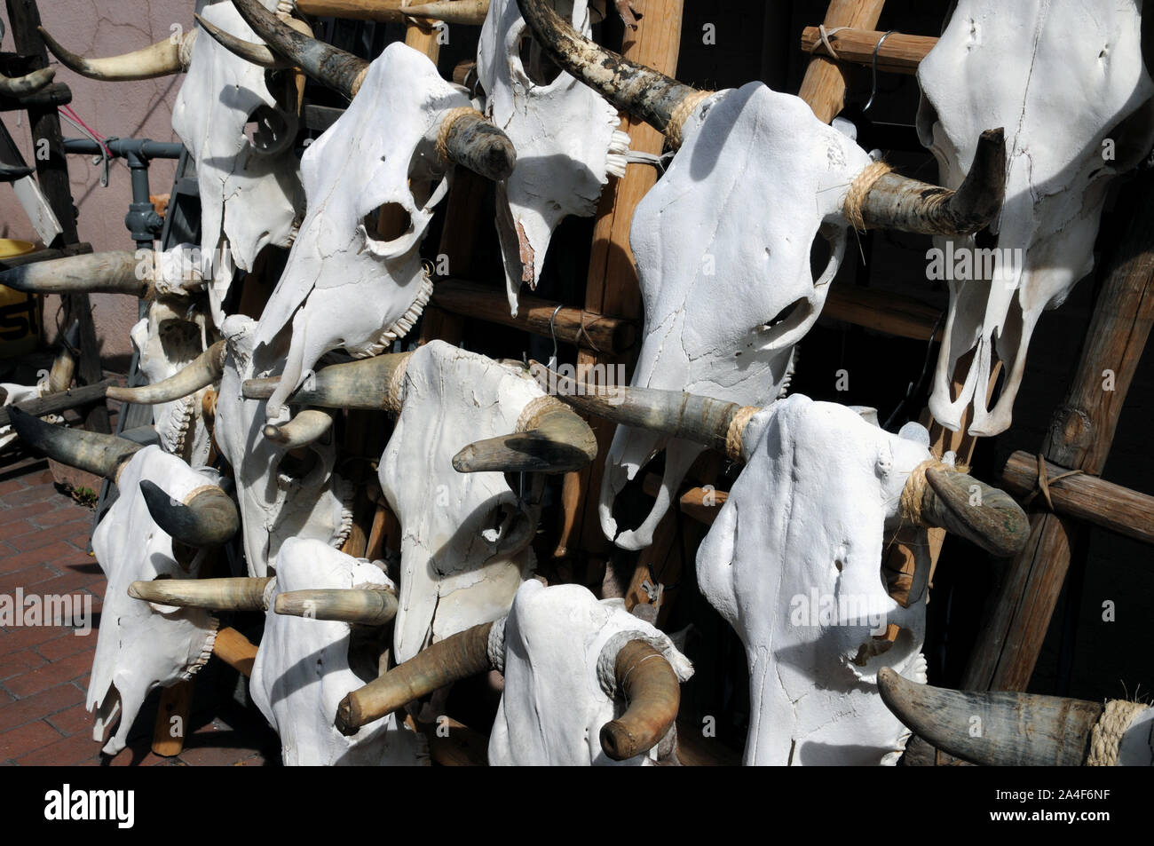 Insolita e piuttosto macabra, negozio di souvenir in vendita presso un negozio di articoli da regalo a Santa Fe, New Mexico. Foto Stock