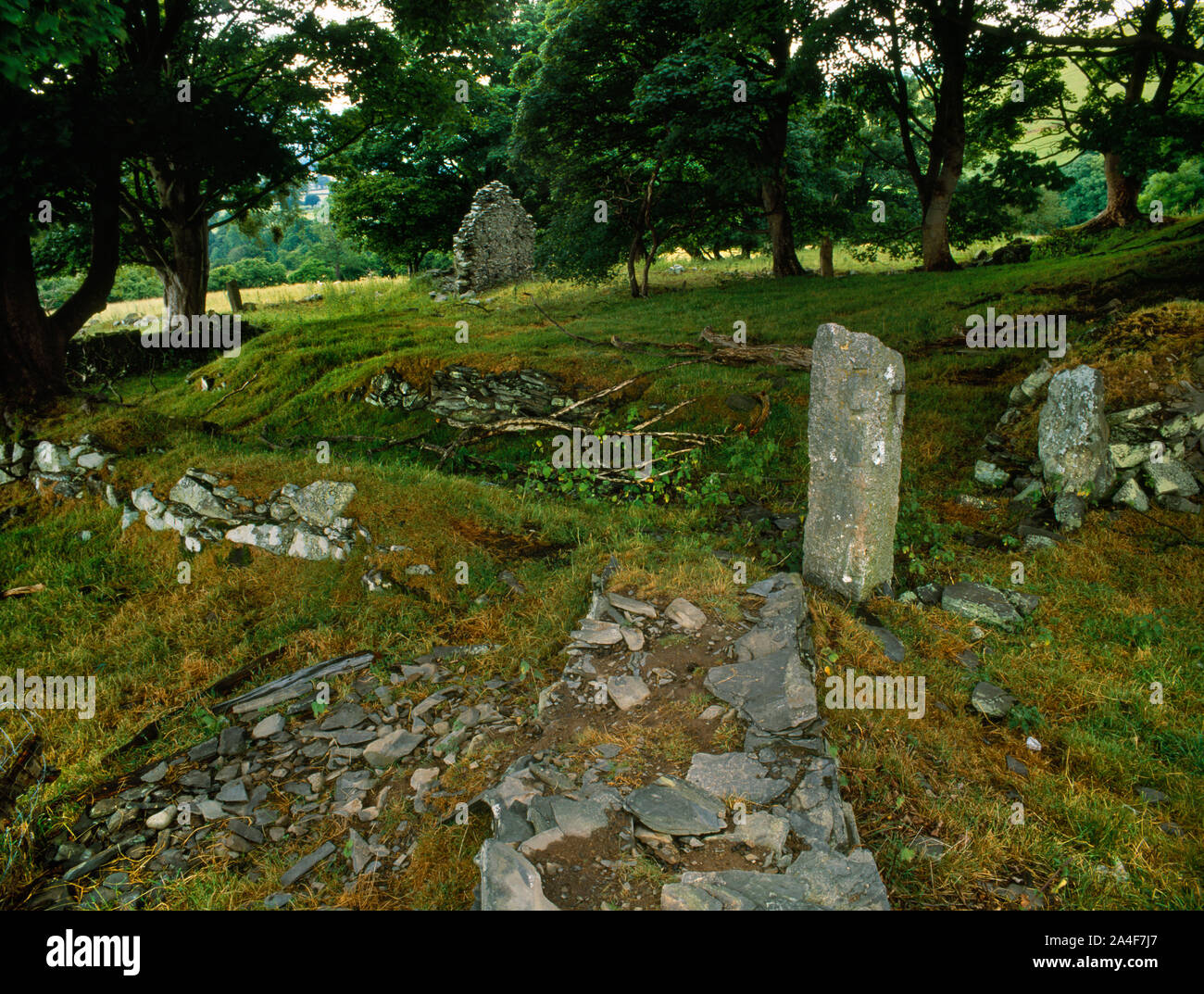Visualizzare NW di Tyn Y Pistyll rovinato cascina entro una stalattite-recinto murato NE DI Llangynhafal, Denbighshire, Wales, Regno Unito: gable end e se entrata. Foto Stock