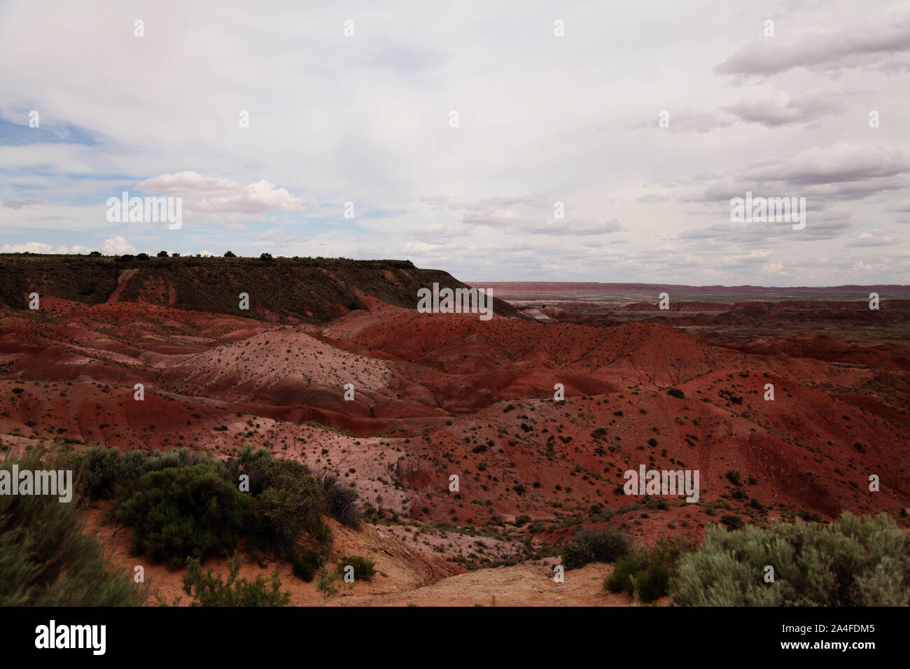 Parco nazionale della Foresta pietrificata, Arizona, USA - paesaggio panoramico del deserto dipinto sulla Route 66 con spazio per le copie Foto Stock