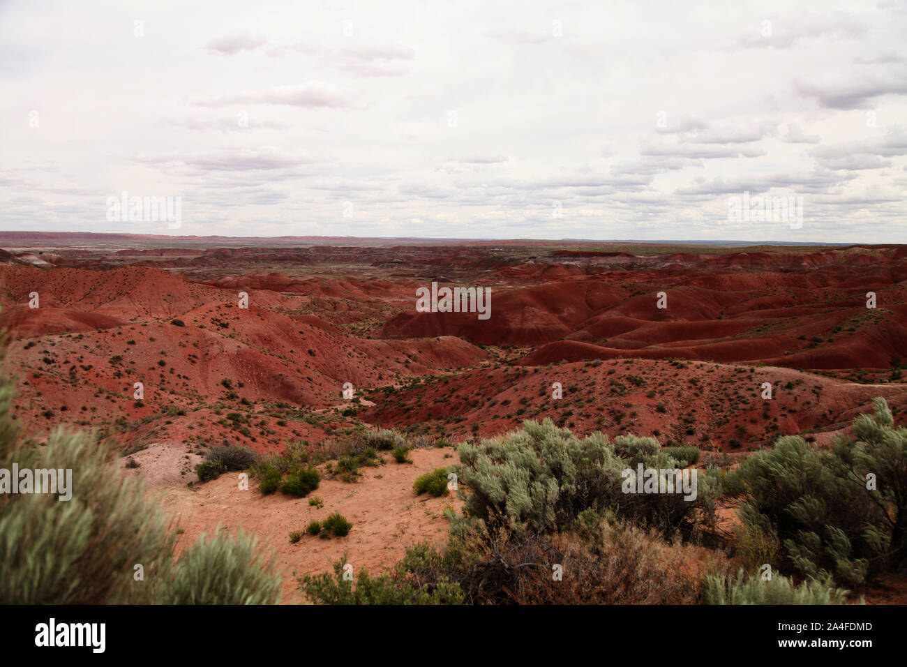 Parco nazionale della Foresta pietrificata, Arizona, USA - paesaggio panoramico del deserto dipinto sulla Route 66 con spazio per le copie Foto Stock