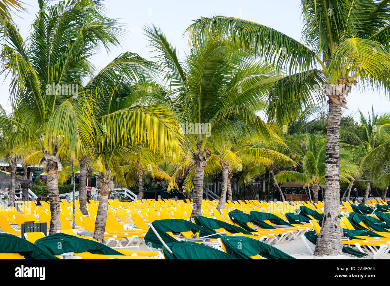 La baia di mogano nave da crociera stop, Roatan, Honduras Foto Stock