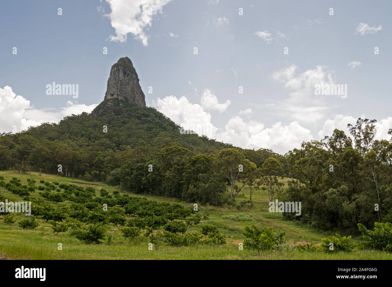 Montare Coonowrin (Crookneck) a 377metri di altezza è parte della casa di vetro montagne sulla Costa del Sole nel Queensland, in Australia. Le montagne wer Foto Stock