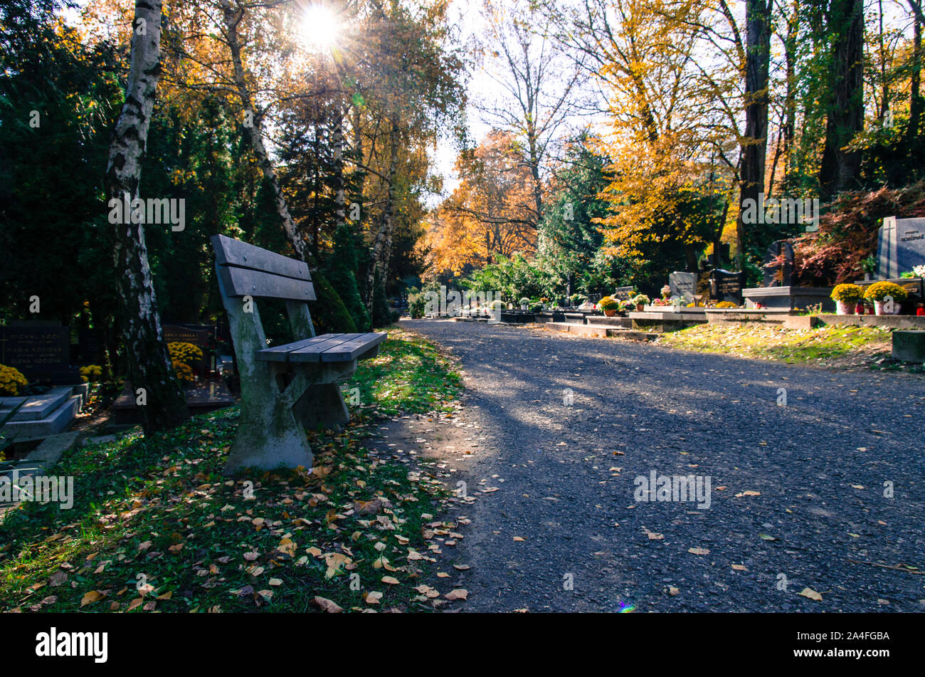 In autunno il percorso del cimitero e panca Foto Stock