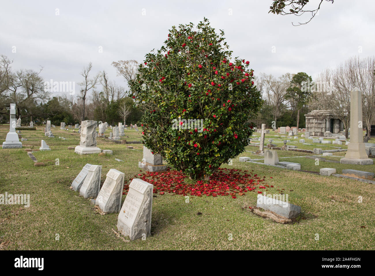 Lapidi e altri marcatori presso il Cimitero di Magnolia in Beaumont, Texas Foto Stock