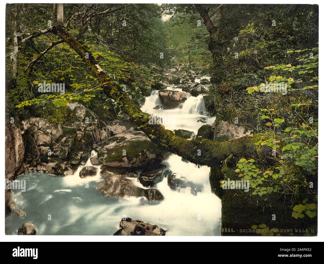 Torrent a piedi II, Dolgelly (ossia Dolgellau), il Galles Foto Stock