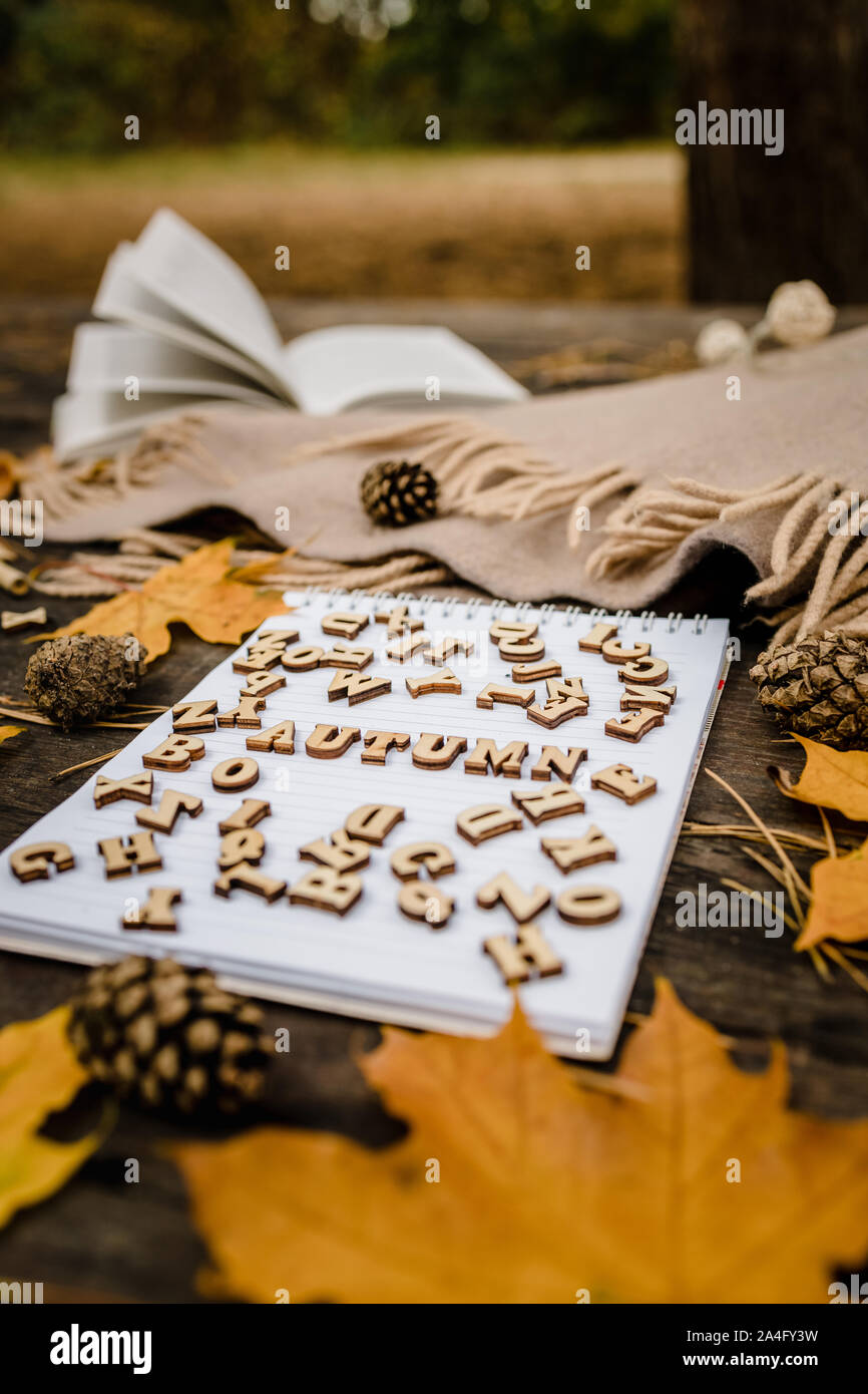 Vuoto bianco notebook e penna con lettere in legno la parola autunno su uno sfondo scuro con una sciarpa, plaid e una tazza, Giallo autunno foglie e pino Foto Stock