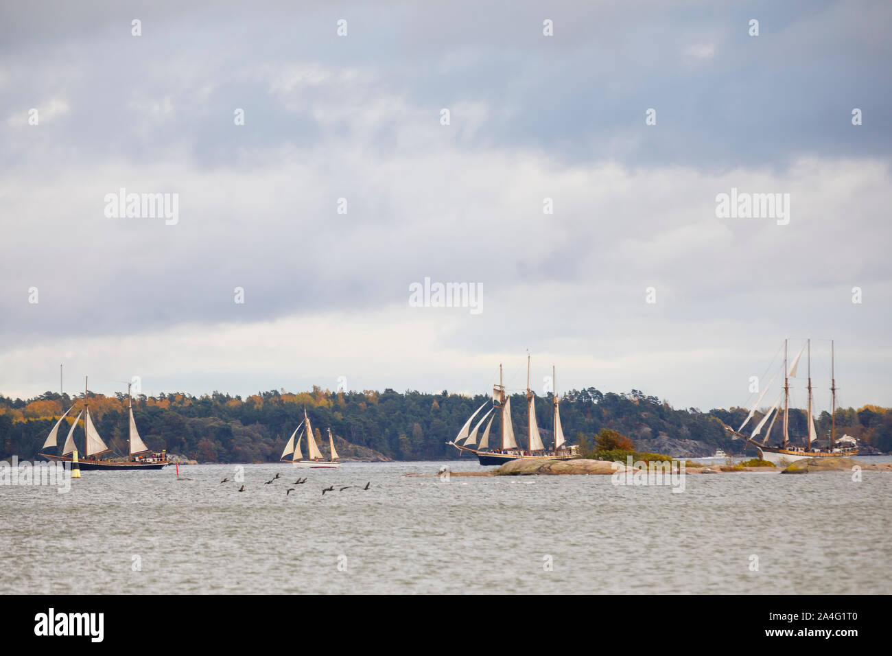 HELSINKI, Finlandia - 12 ottobre 2019: Finlandia Tall navi a vela entrando in porto del sud a Helsinki in Finlandia il 12 ottobre 2019 quando la tradizione Foto Stock