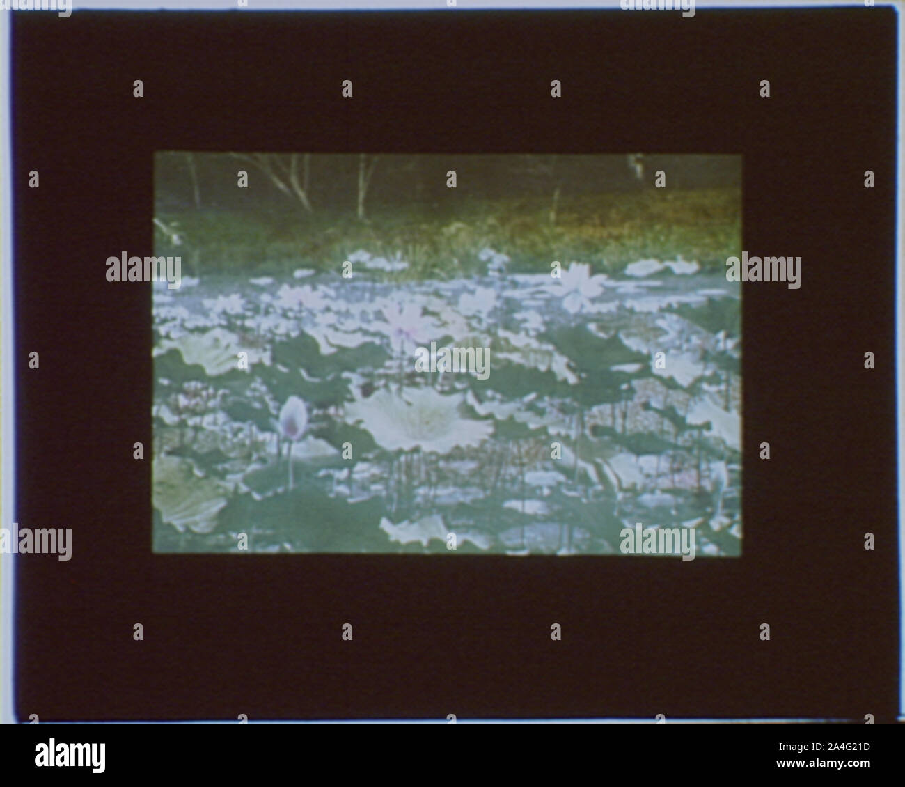 Viste di viaggio del Giappone Foto Stock