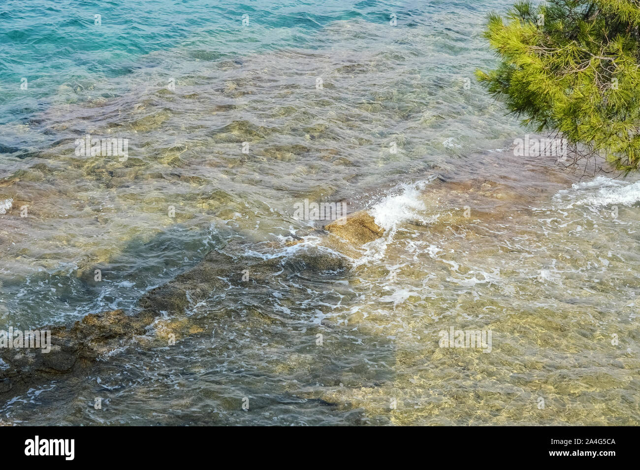 Onde piccole nella parte costiera di isola rossa in Croazia off una spiaggia rocciosa. Un fondo roccioso è visibile attraverso la superficie trasparente dell'acqua. Foto Stock