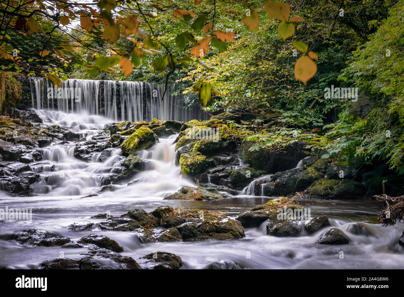 Questa è una delle cascate a Crumlin Glen nella contea di Antrim, Irlanda del Nord Foto Stock