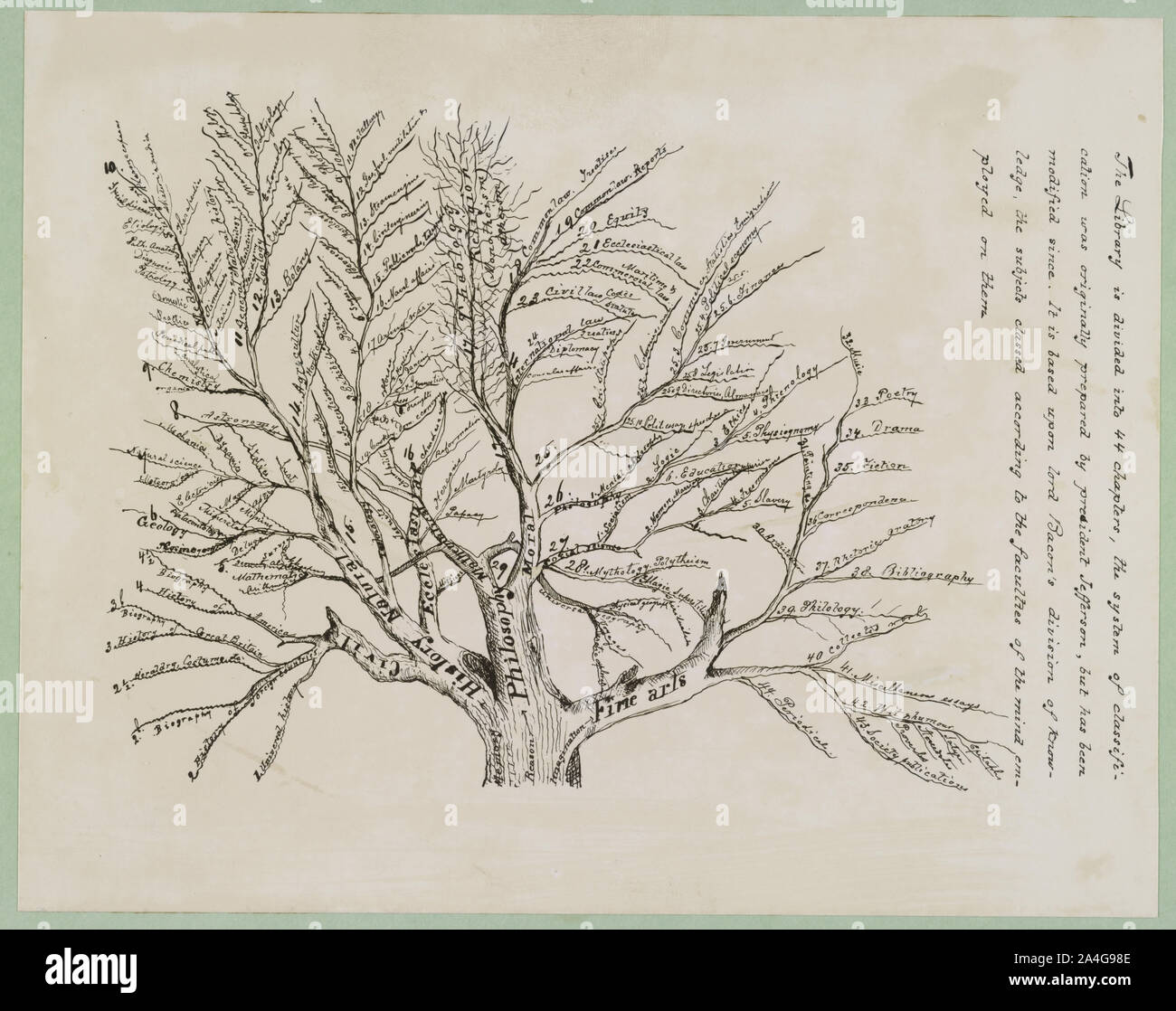 Albero delle Classificazioni della libreria Foto Stock