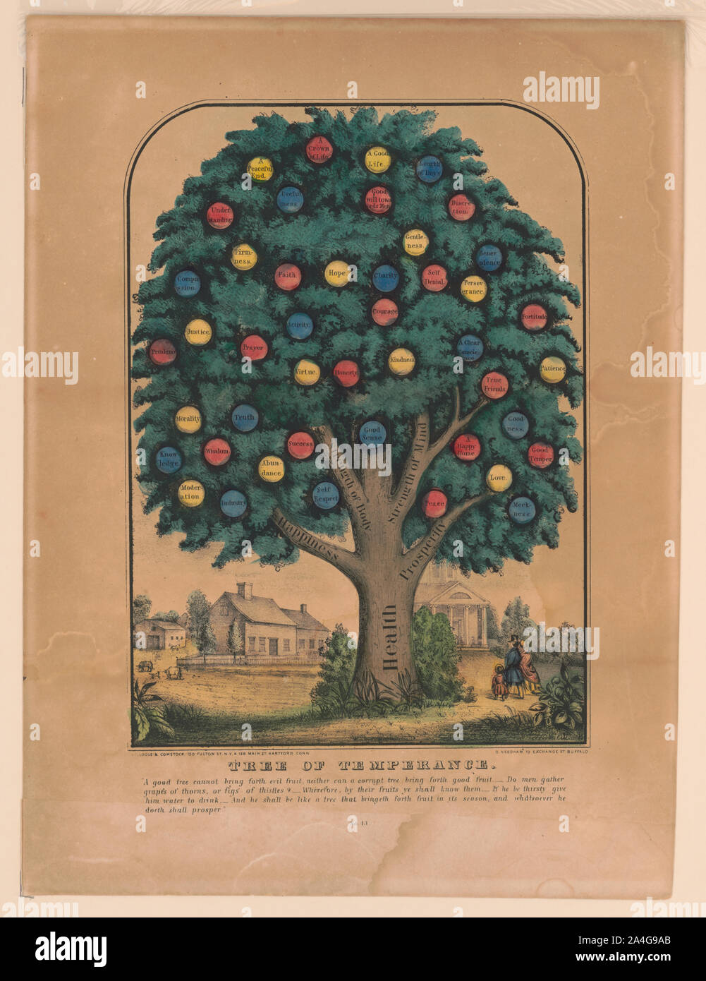 Albero della temperanza Foto Stock