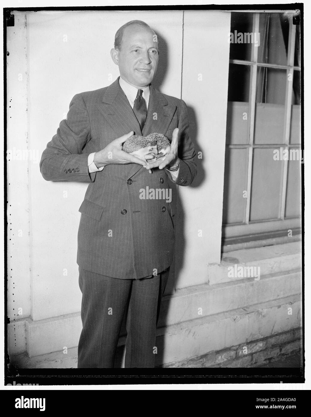 Tropical istrici presentato al presidente. Washington D.C., Sett. 16. R.J. Lepow tenendo premuto uno dei tropical istrici ha portato alla Casa Bianca di oggi come un presente al presidente Roosevelt. Gli animali di peso inferiore a una libbra ciascuno, sono stati portati tutti i modo da [...]t Africa. Il presidente Roosevelt a donare la [...] Lo Zoo Nazionale Foto Stock