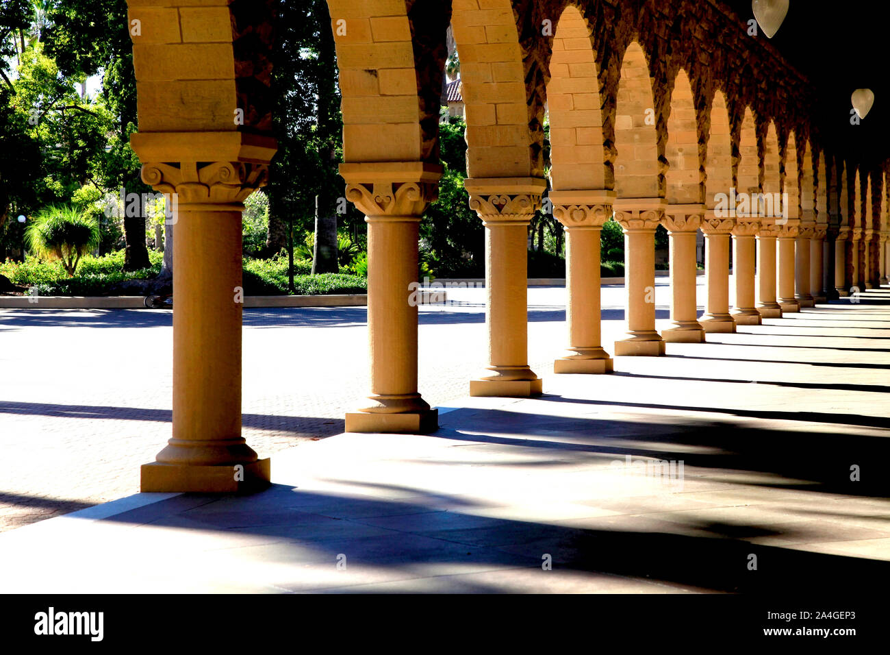 Arco coperto modo vicino alla principale Quad della Stanford University campus si trova a Palo Alto, in California. Foto Stock