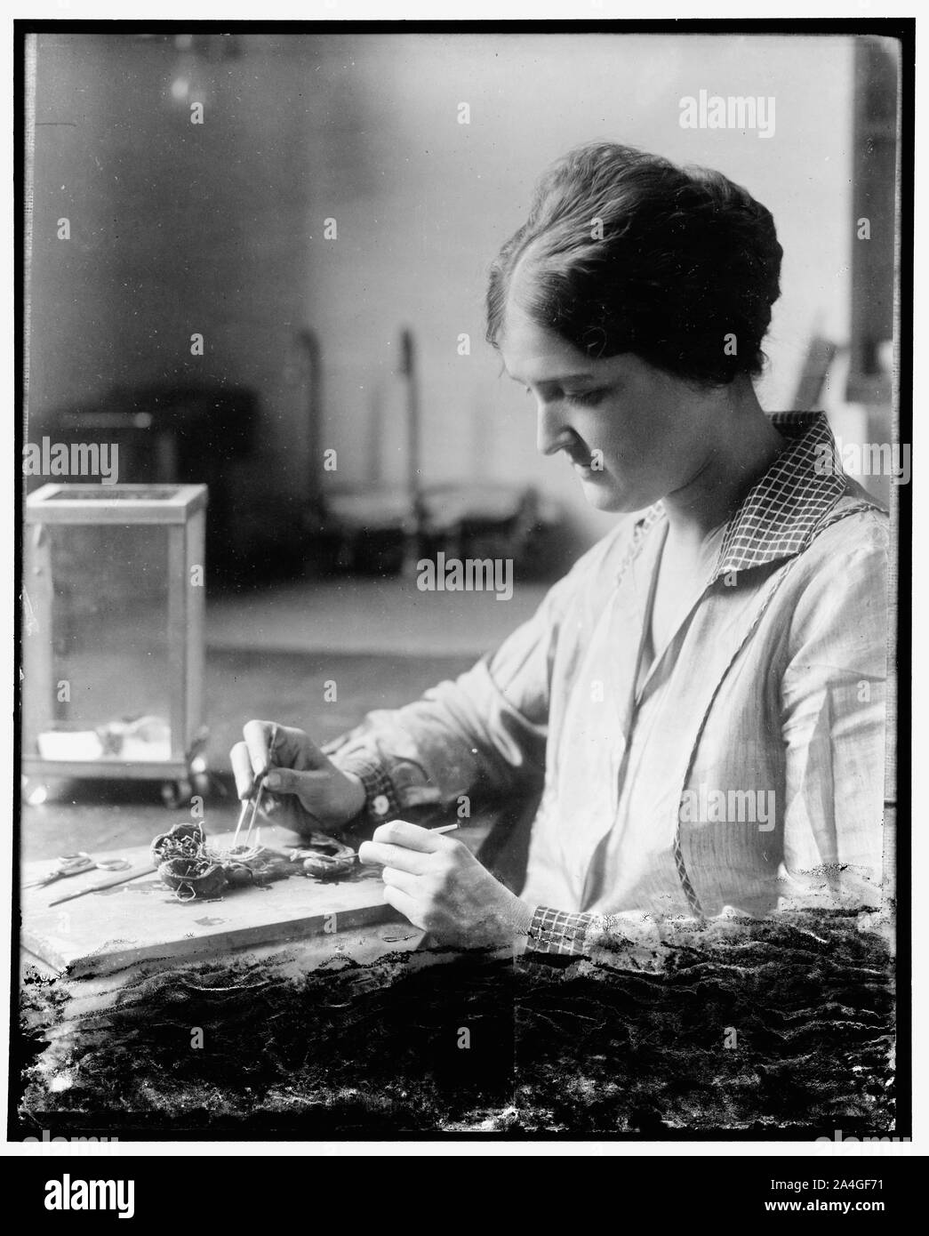 Cercando di migliorare la nazione di pollame. Dott.ssa Eloise B. Cram ha l' importante compito di tentare di liberare il pollame degli Stati Uniti di parassiti. Il dott. Cram è in carica dei parassiti del pollame sezione della divisione zoologico, Bureau dell industria animale, dell'U.S. Dipartimento di Agricoltura. La fotografia mostra la sua realizzazione di uno dei suoi esperimenti, 11/18/30 Foto Stock