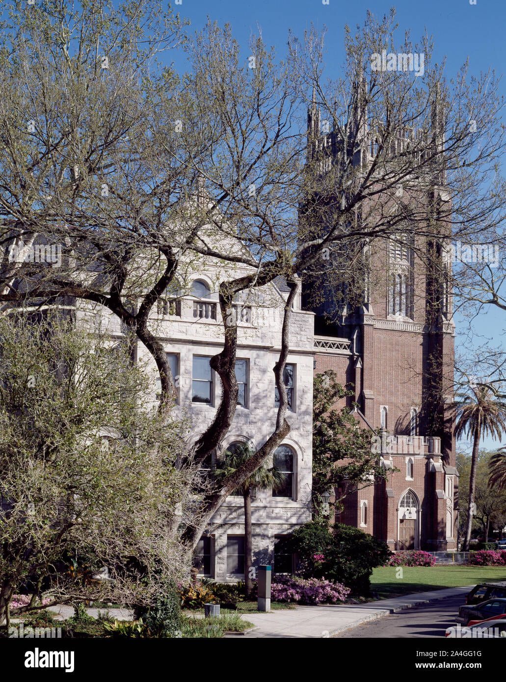 Tulane e Università Loyola uptown campus a New Orleans, Louisiana Foto Stock