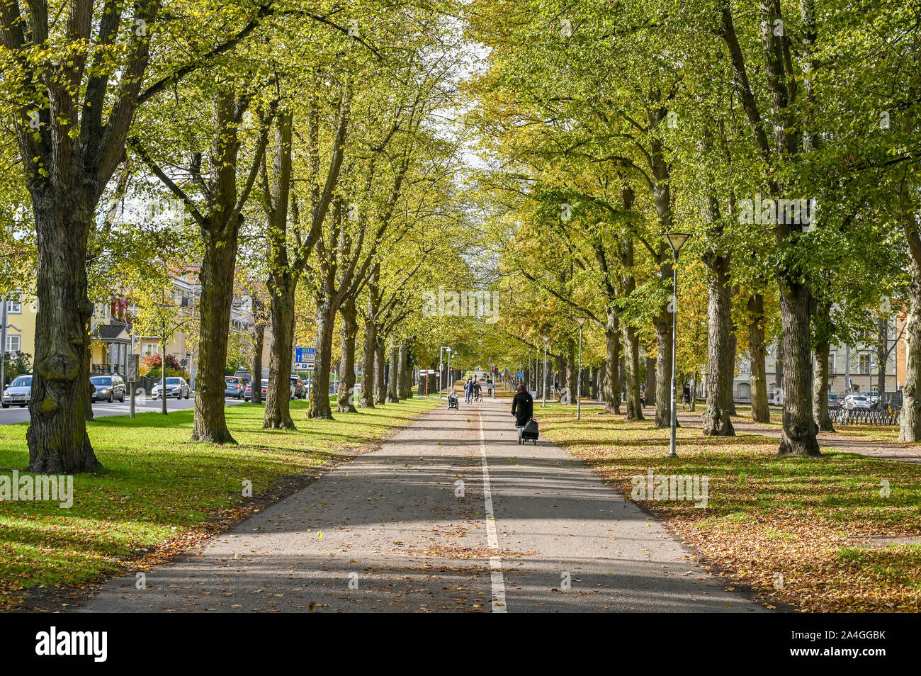 Il Lungomare Sud durante l inizio di caduta 2019 in Norrkoping. Le passeggiate in Norrkoping erano ispirati dalla Ringstrasse di Vienna e i boulevards in P Foto Stock