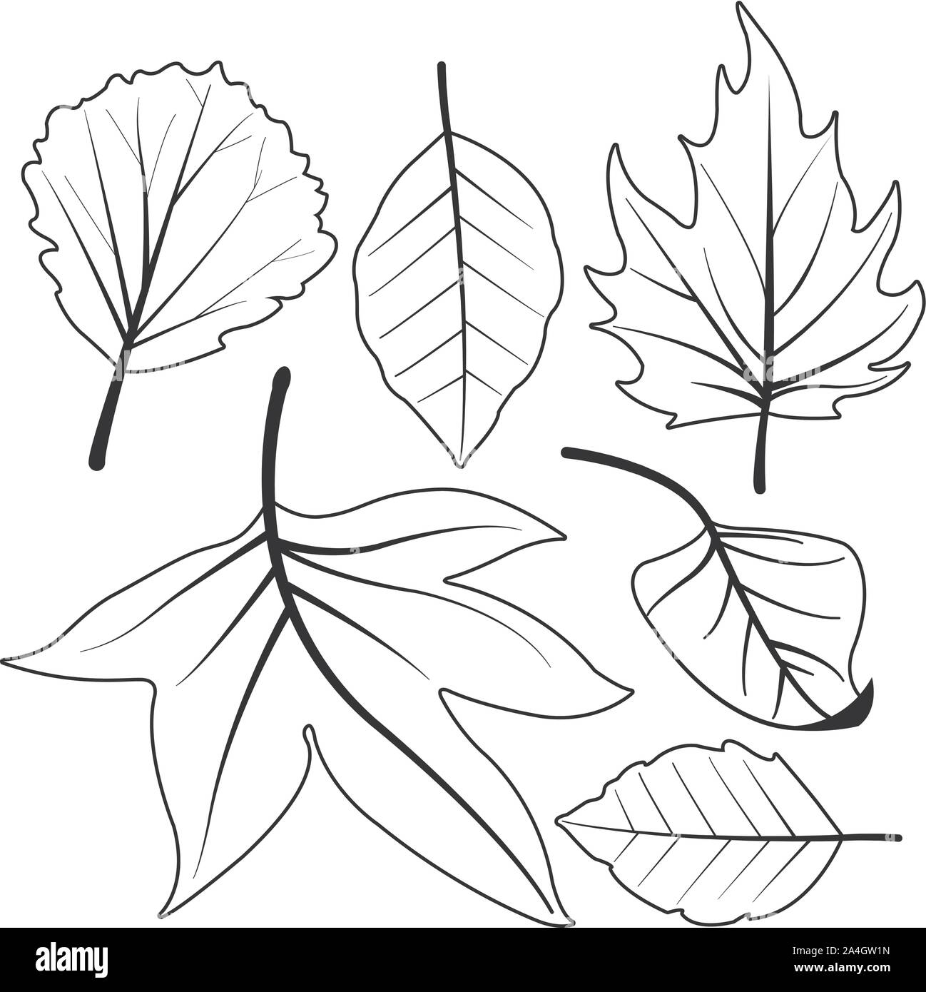 Raccolta di secco diverse foglie di autunno. Il vettore in bianco e nero nella pagina di colorazione Illustrazione Vettoriale