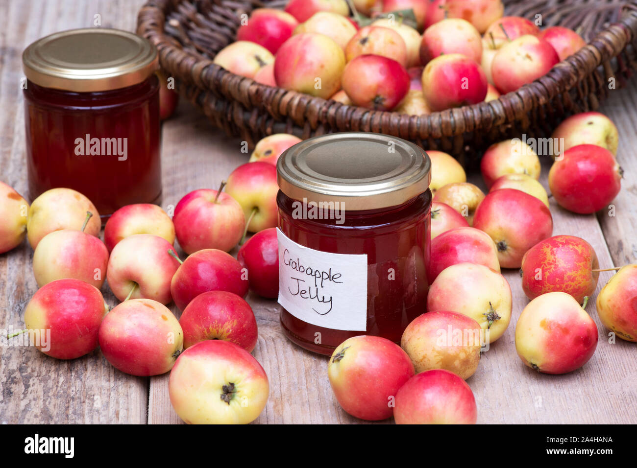 Malus 'Jelly King'. Crab Apple "Gelatina King' di frutta e un vaso di crab apple jelly Foto Stock