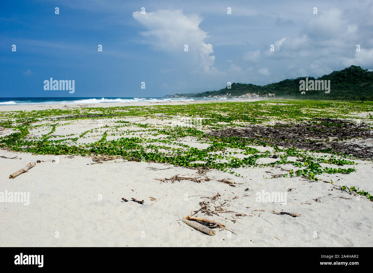 Paesaggio nel Parco Nazionale Tayrona, una area protetta situata nel dipartimento di Magdalena sul lato caraibico della Colombia Foto Stock