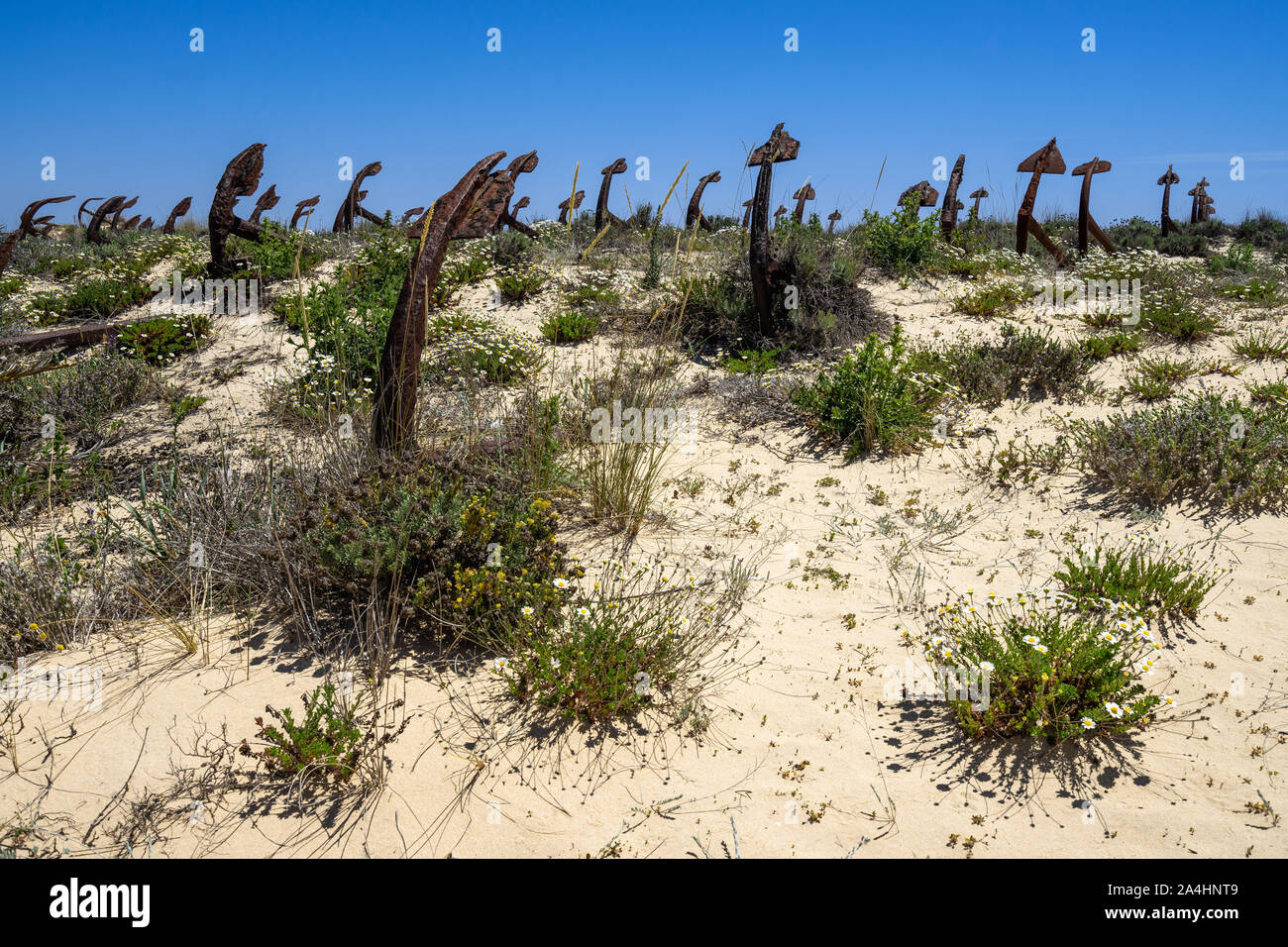 La Scenic ancore cimitero che stabilisce tra le dune della spiaggia di Barril vicino a Tavira, Algarve, PORTOGALLO Foto Stock