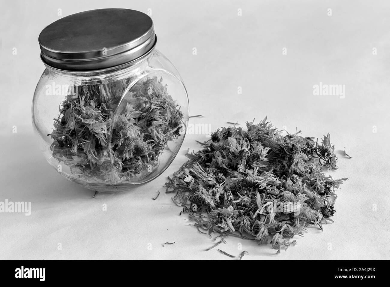 Medicinali preziose materie prime: essiccati fiori di calendula Foto Stock