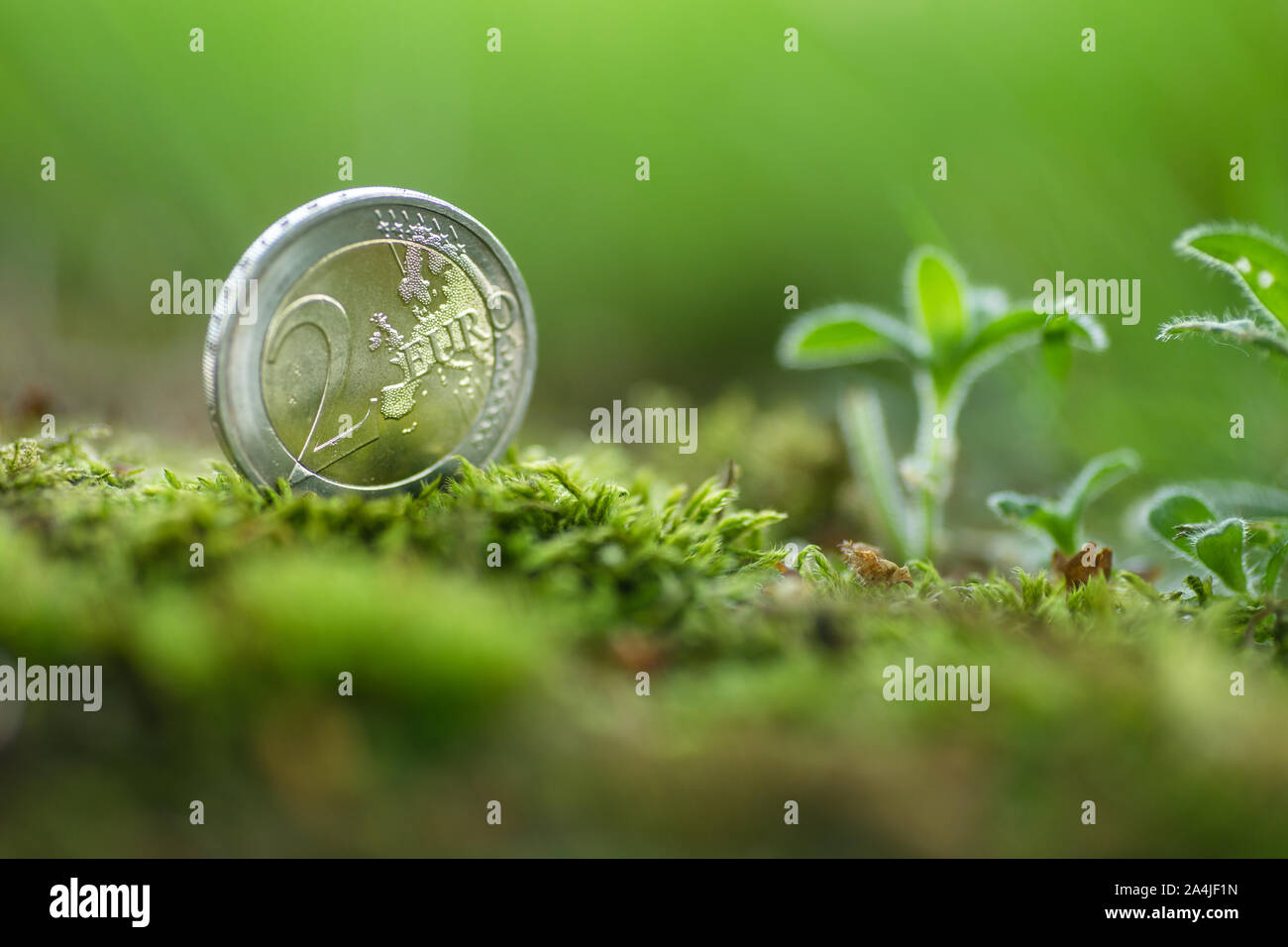 Due 2 Euro moneta in natura con la piccola pianta - Verde denaro Foto Stock