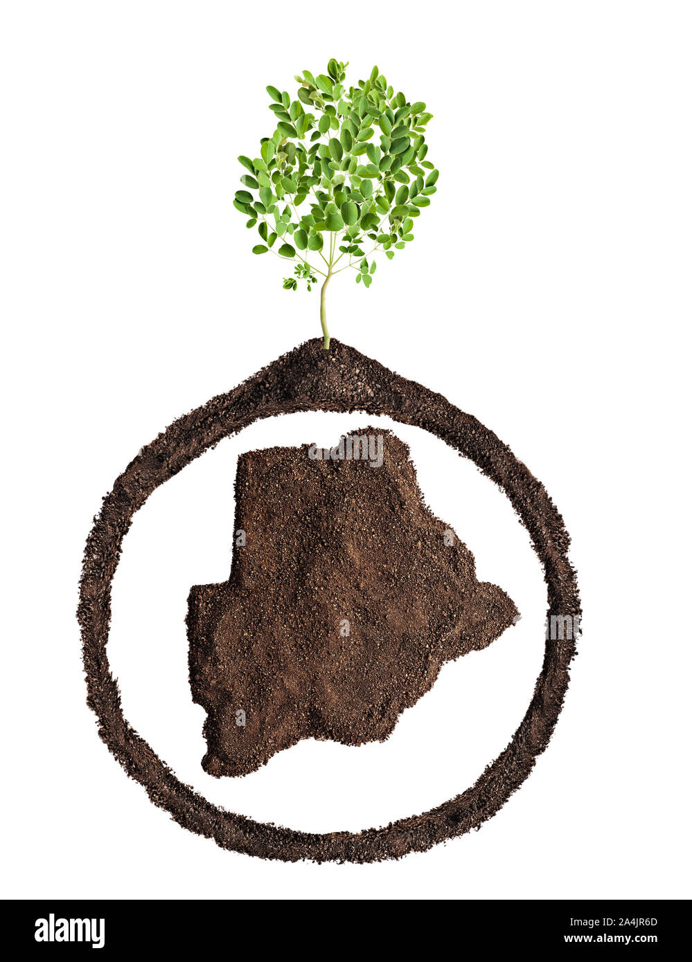 Concettuale mappa del Botswana di riciclo o di agricoltura, crescere un albero Foto Stock